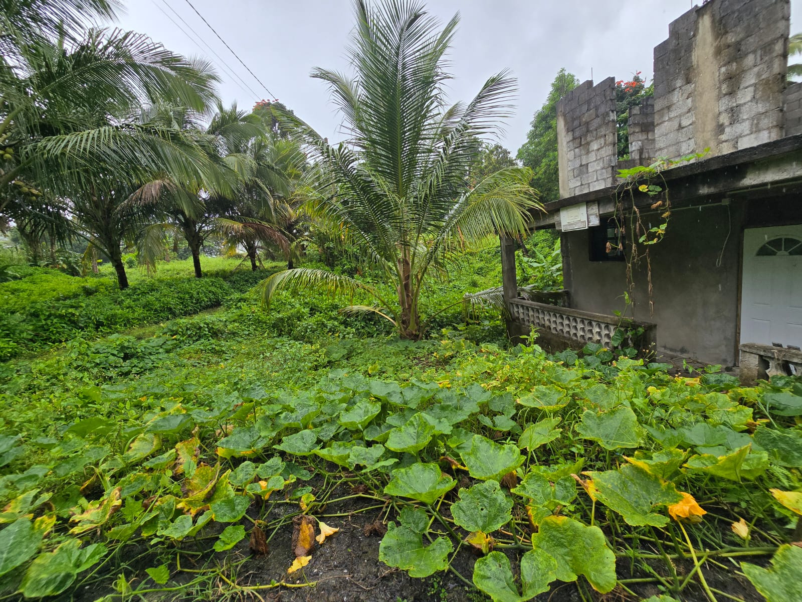 16,439sqft land for sale in Layou Park, Dominica -EC$150,000 / US$56,180