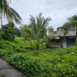 16,439sqft land for sale in Layou Park, Dominica -EC$150,000 / US$56,180