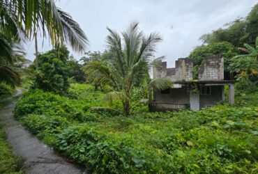 16,439sqft land for sale in Layou Park, Dominica -EC$150,000 / US$56,180