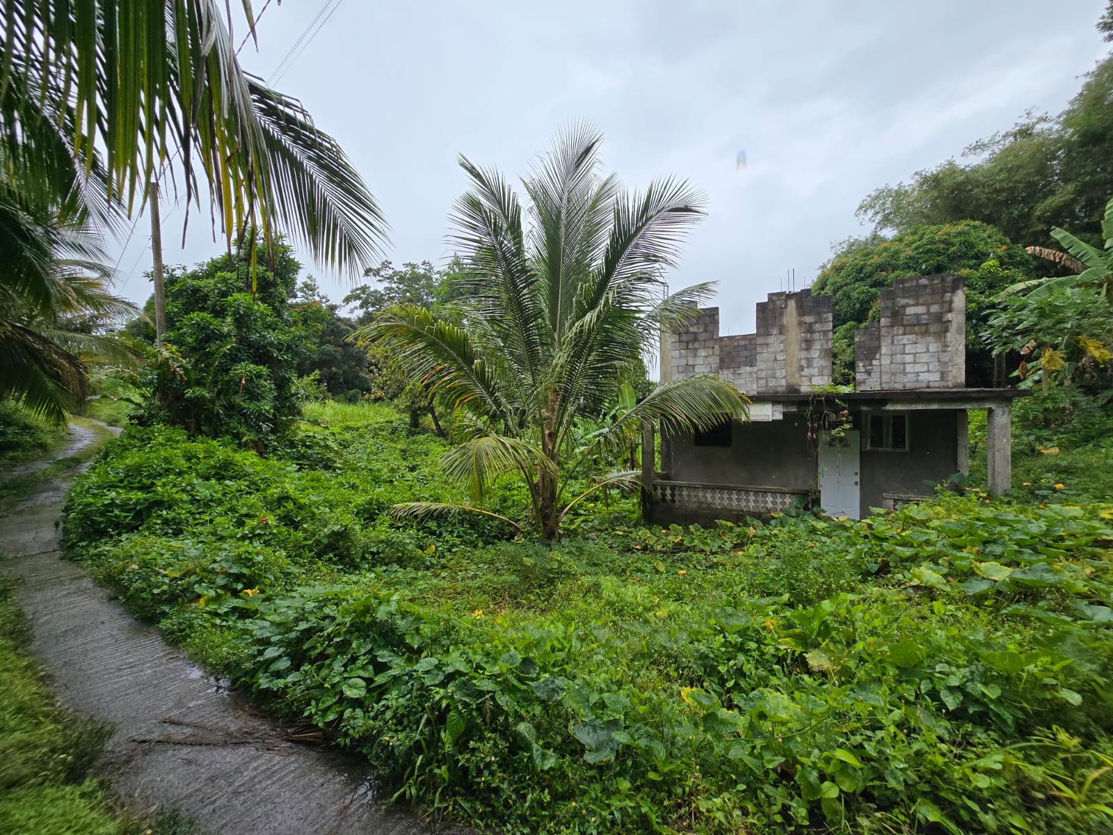 16,439sqft land for sale in Layou Park, Dominica -EC$150,000 / US$56,180