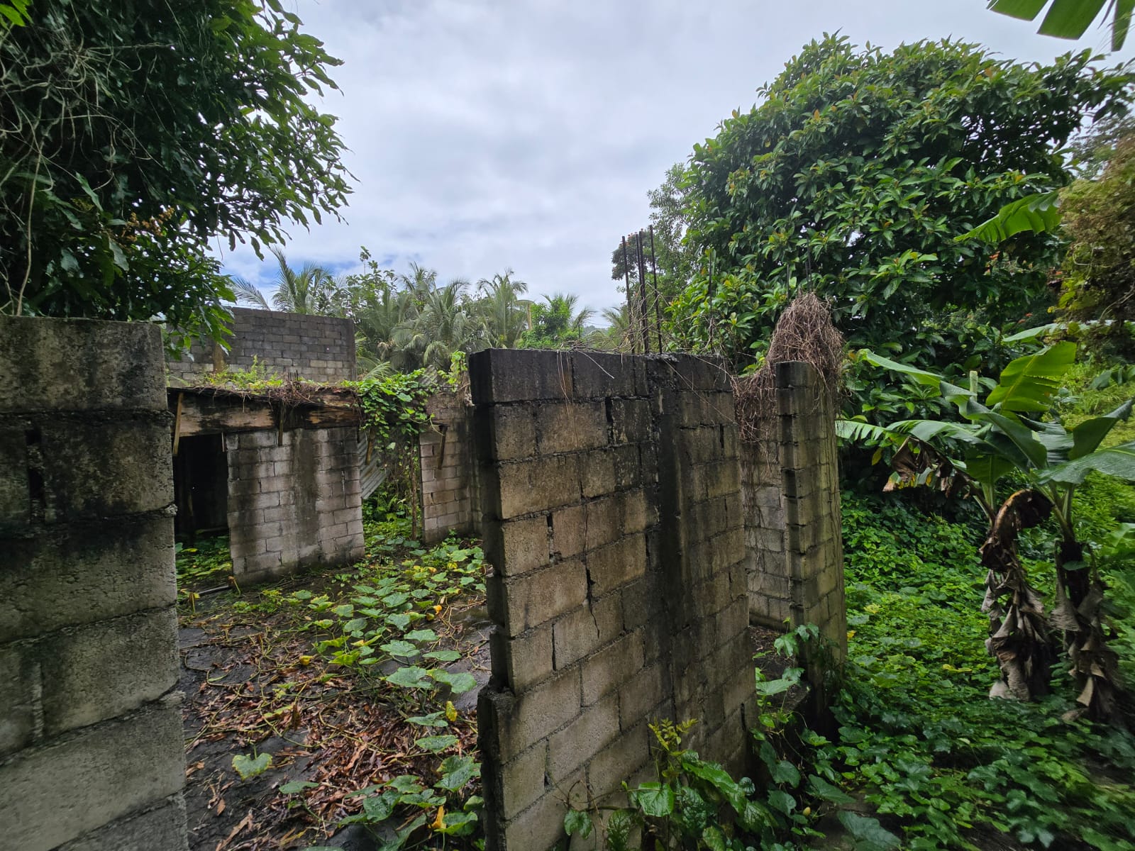 16,439sqft land for sale in Layou Park, Dominica -EC$150,000 / US$56,180