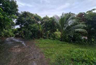 5852 sqft  land for sale in Atkinson, Dominica – EC$58,520 / US$21,918