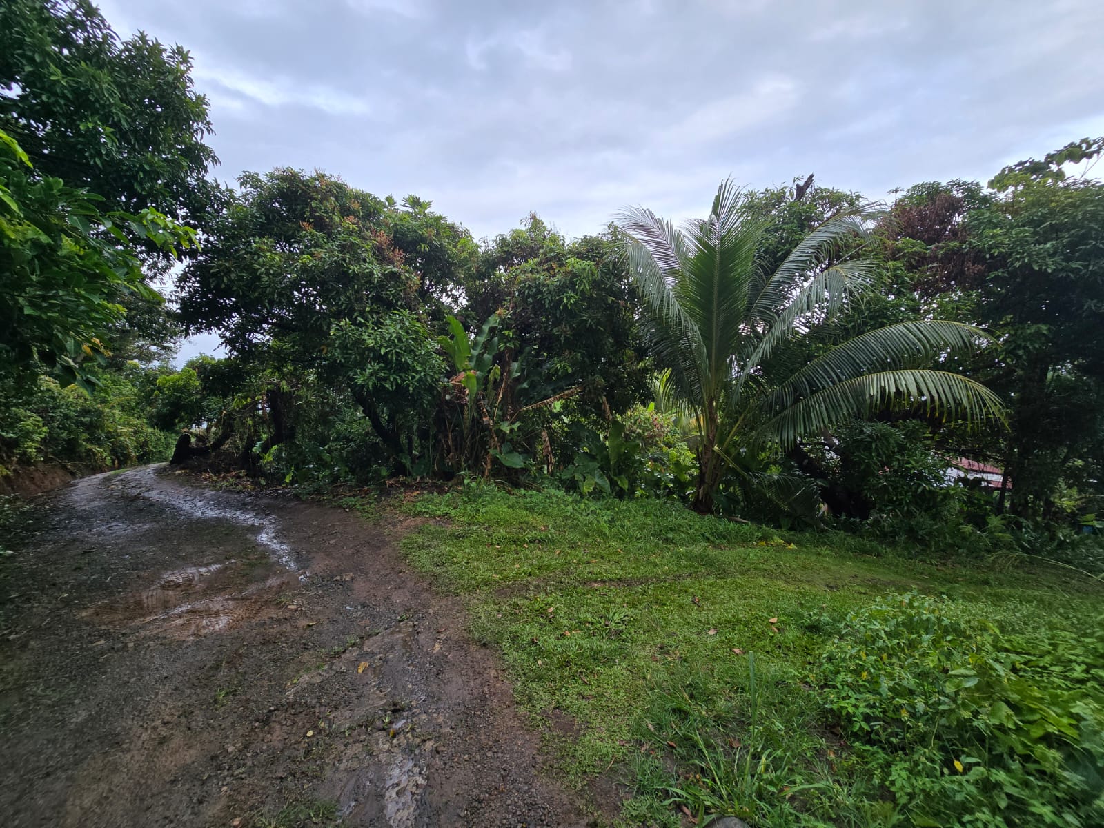 5852 sqft  land for sale in Atkinson, Dominica – EC$58,520 / US$21,918