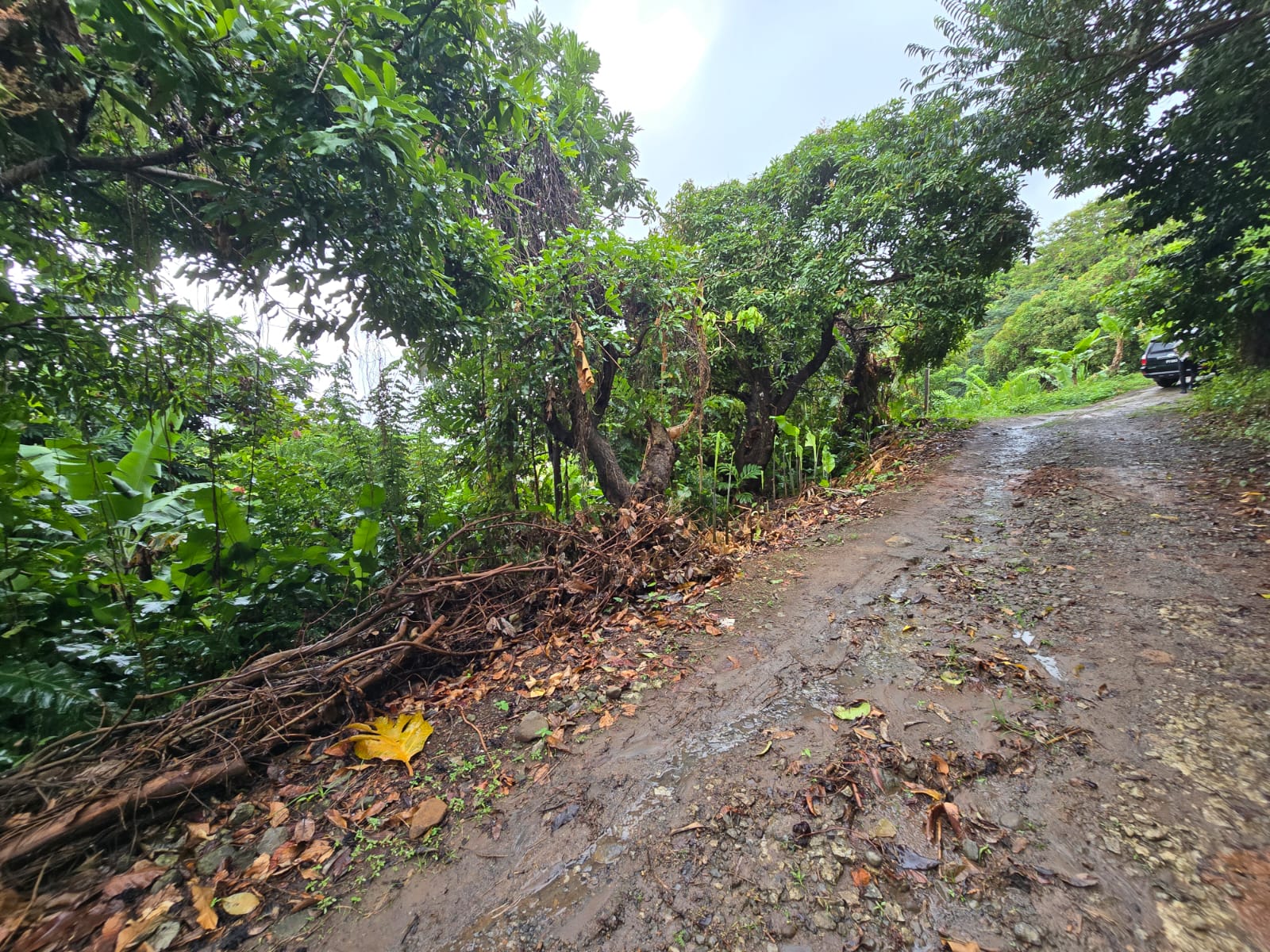 5852 sqft  land for sale in Atkinson, Dominica – EC$58,520 / US$21,918