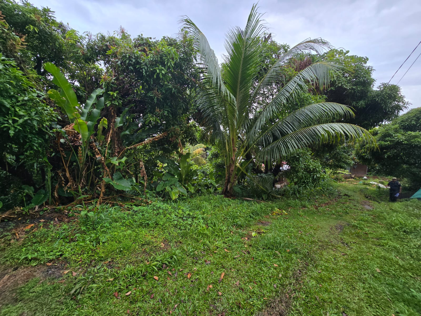 5852 sqft  land for sale in Atkinson, Dominica – EC$58,520 / US$21,918