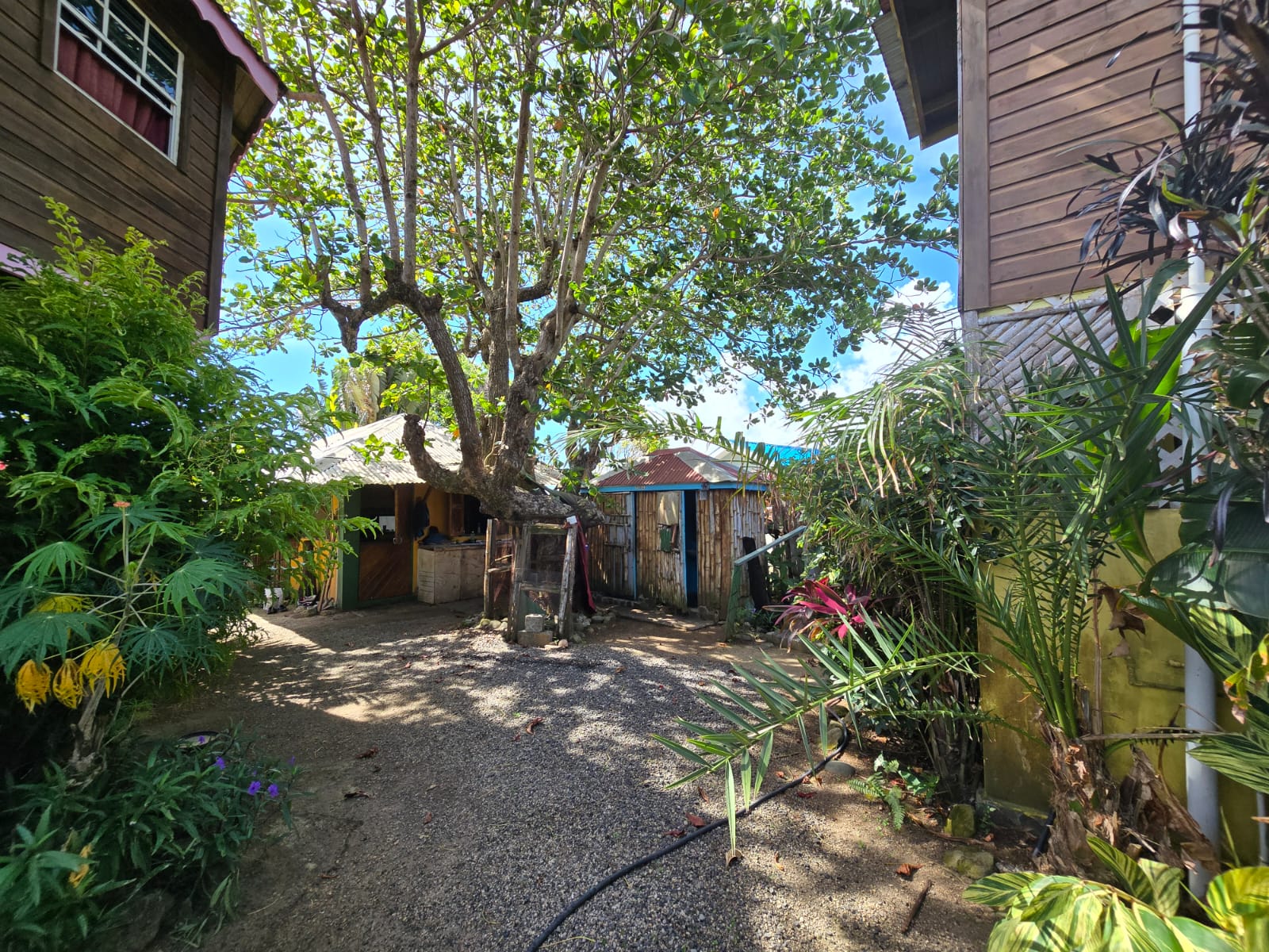 Commercial property for sale in Calibishie, Dominica -EC$1,200,000 / US$450,000