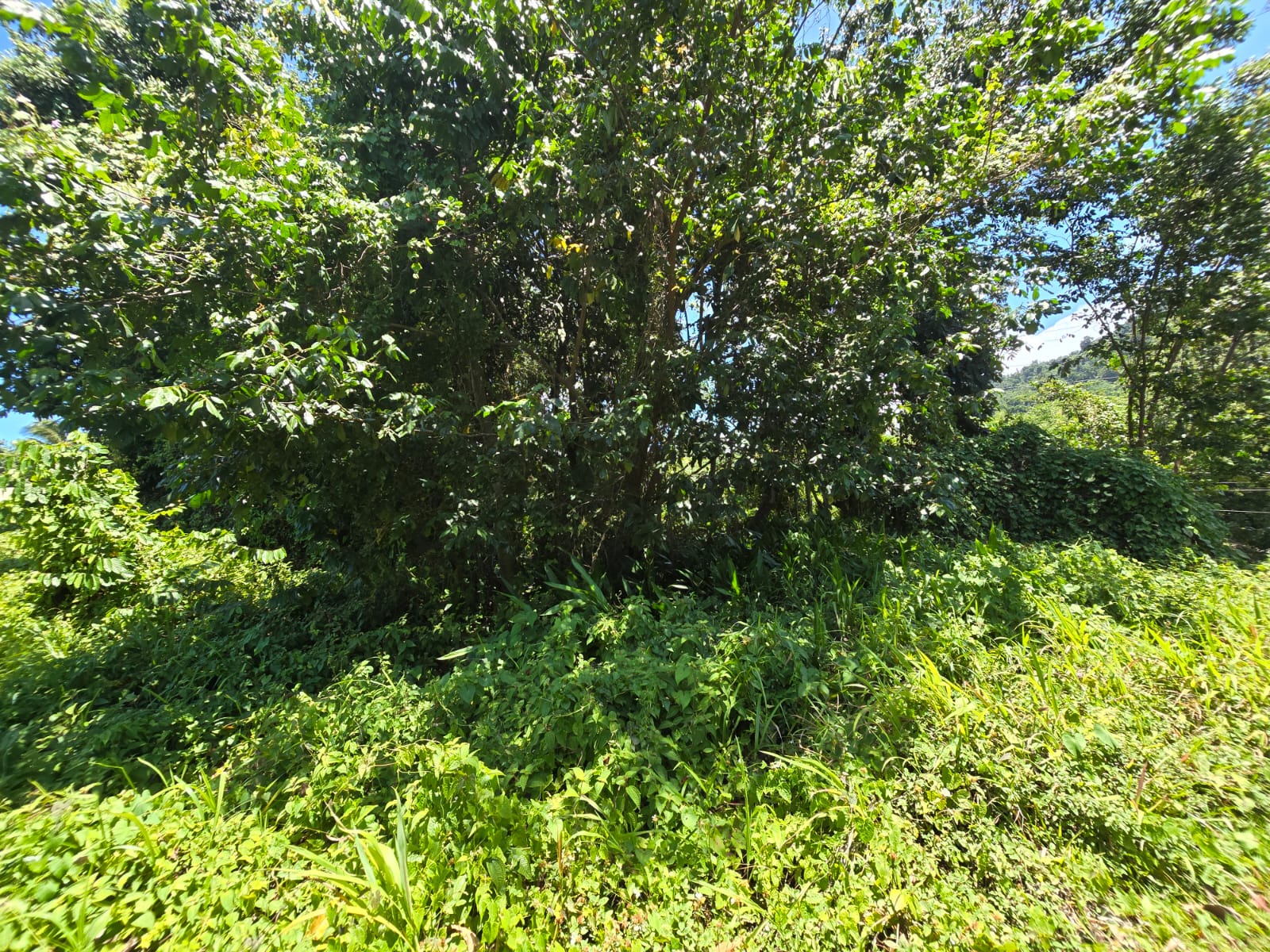9,643 sqft residential lot in Picard Portsmouth, Dominica – EC$241,075 / US$90,290