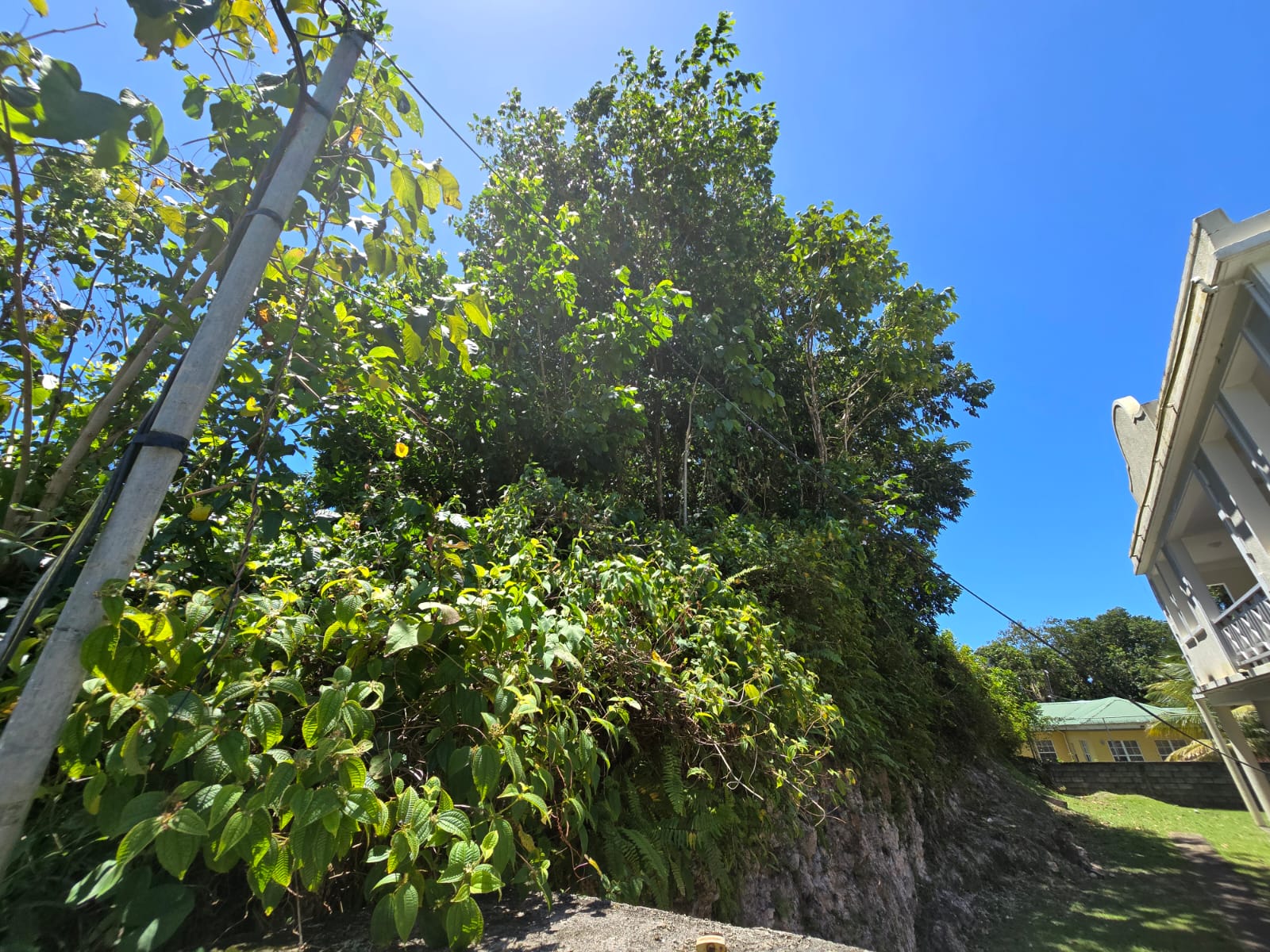 9,643 sqft residential lot in Picard Portsmouth, Dominica – EC$241,075 / US$90,290