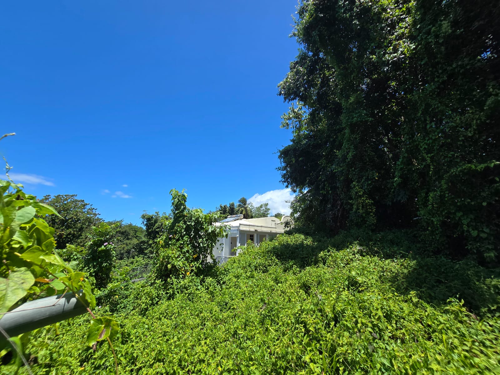 9,643 sqft residential lot in Picard Portsmouth, Dominica – EC$241,075 / US$90,290