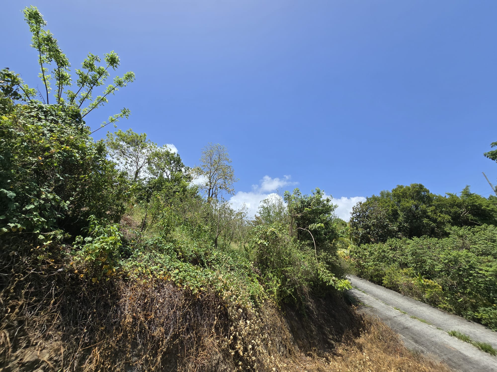 15,000sqft of residential land for sale in Savanne Paille, Dominica – EC$180,000 / US$67,415