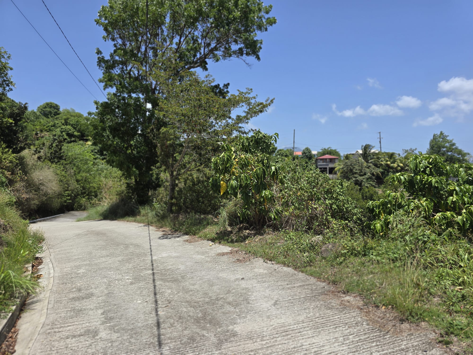 15,000sqft of residential land for sale in Savanne Paille, Dominica – EC$180,000 / US$67,415