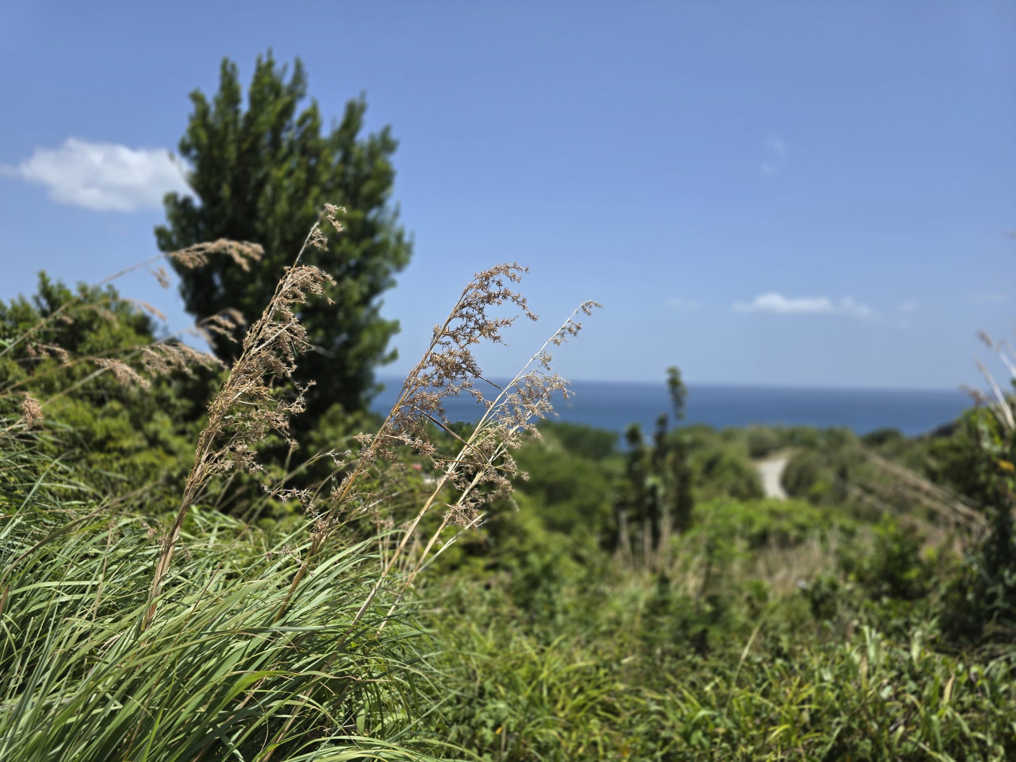 15,000sqft of residential land for sale in Savanne Paille, Dominica – EC$180,000 / US$67,415