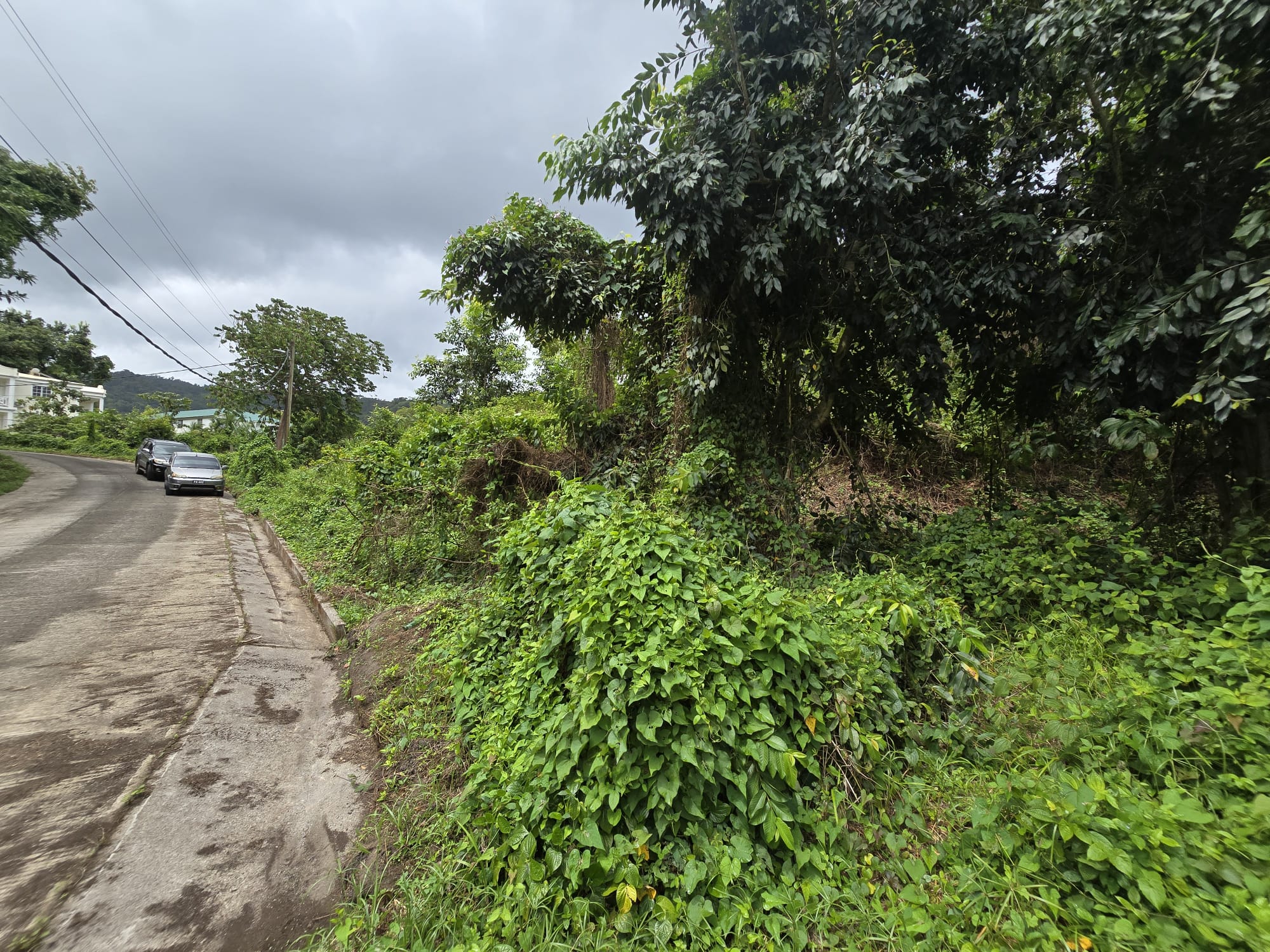 17,551sqft residential lot in Picard, Portsmouth Dominica – EC$438,775 / US$164,335