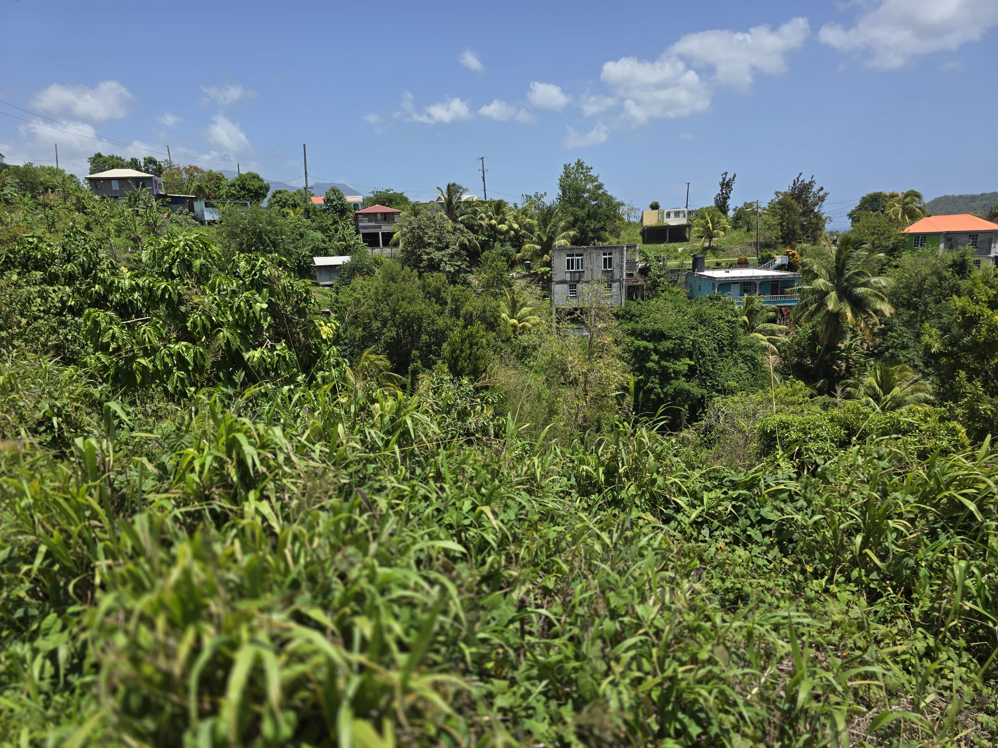 15,000sqft of residential land for sale in Savanne Paille, Dominica – EC$180,000 / US$67,415