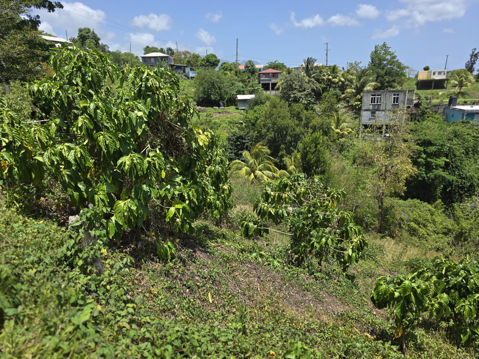 15,000sqft of residential land for sale in Savanne Paille, Dominica – EC$180,000 / US$67,415