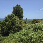 15,000sqft of residential land for sale in Savanne Paille, Dominica – EC$180,000 / US$67,415
