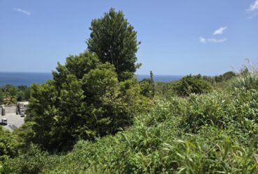15,000sqft of residential land for sale in Savanne Paille, Dominica – EC$180,000 / US$67,415