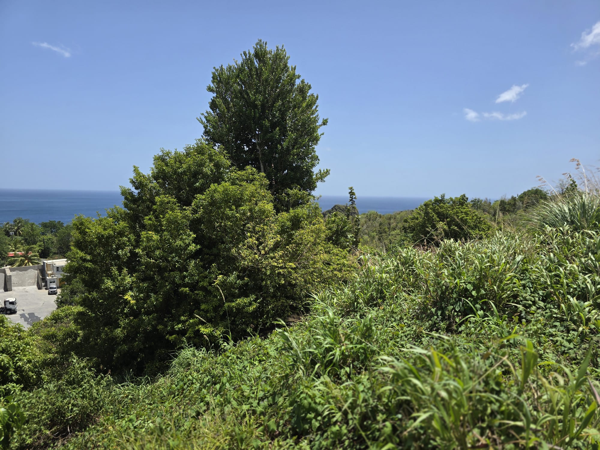 15,000sqft of residential land for sale in Savanne Paille, Dominica – EC$180,000 / US$67,415