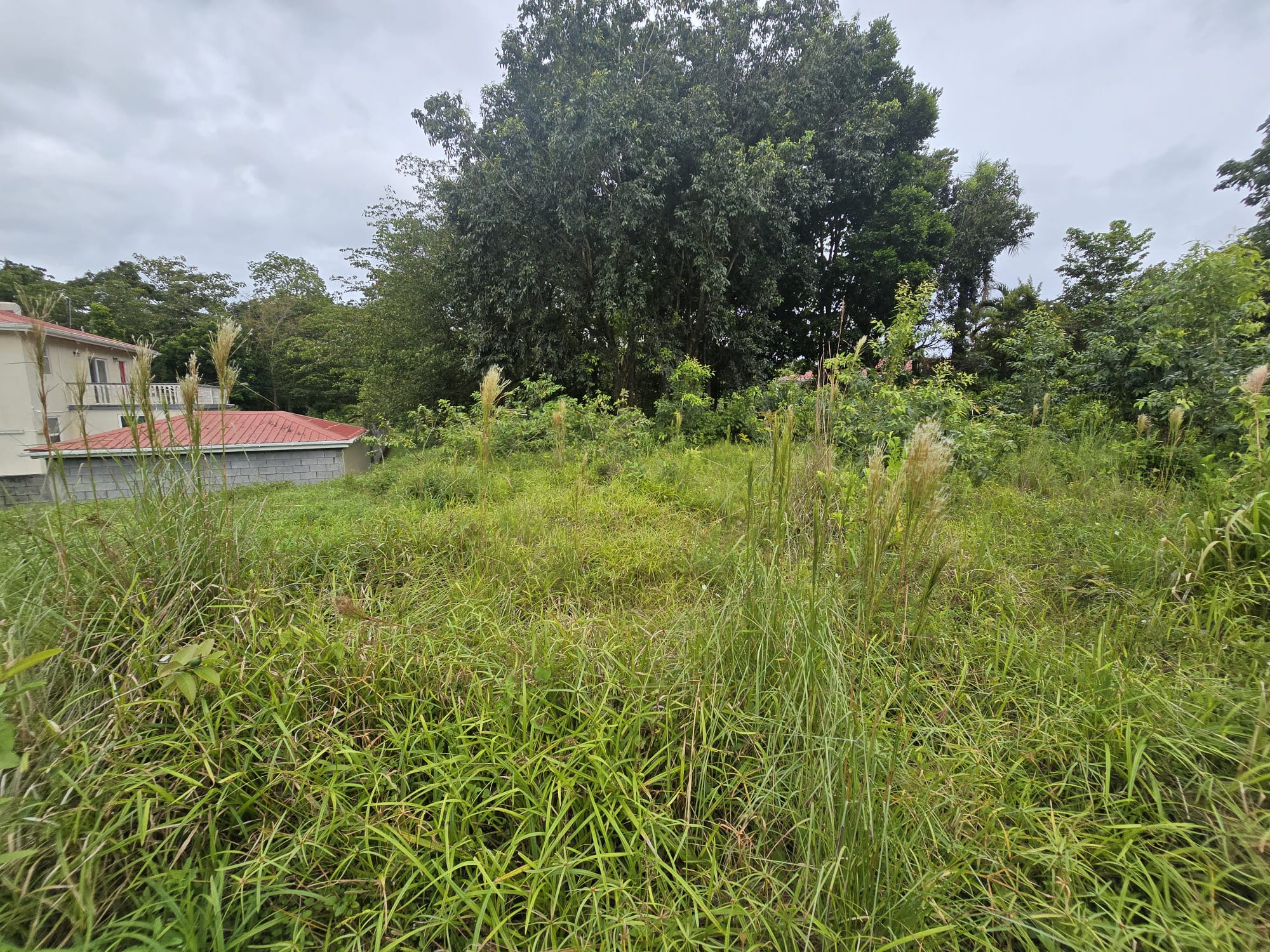 17,551sqft residential lot in Picard, Portsmouth Dominica – EC$438,775 / US$164,335