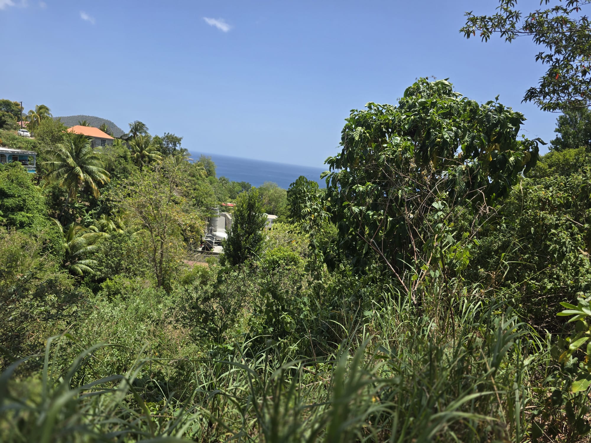 15,000sqft of residential land for sale in Savanne Paille, Dominica – EC$180,000 / US$67,415