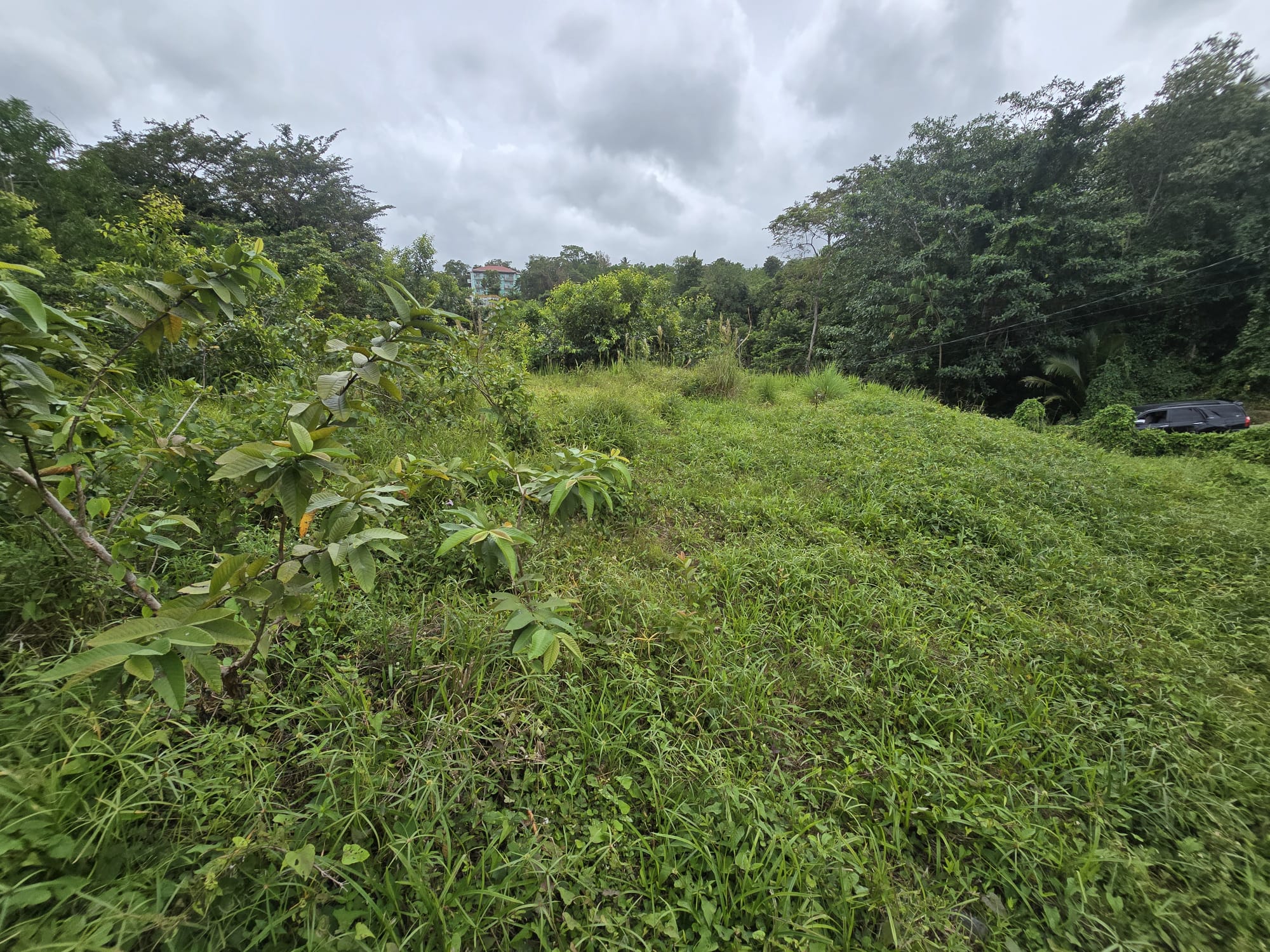 17,551sqft residential lot in Picard, Portsmouth Dominica – EC$438,775 / US$164,335