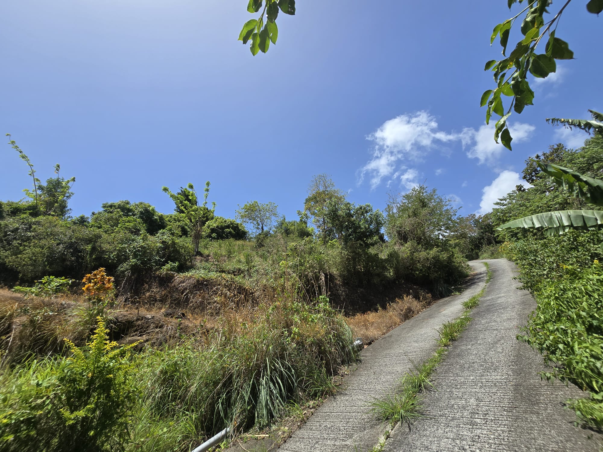 15,000sqft of residential land for sale in Savanne Paille, Dominica – EC$180,000 / US$67,415