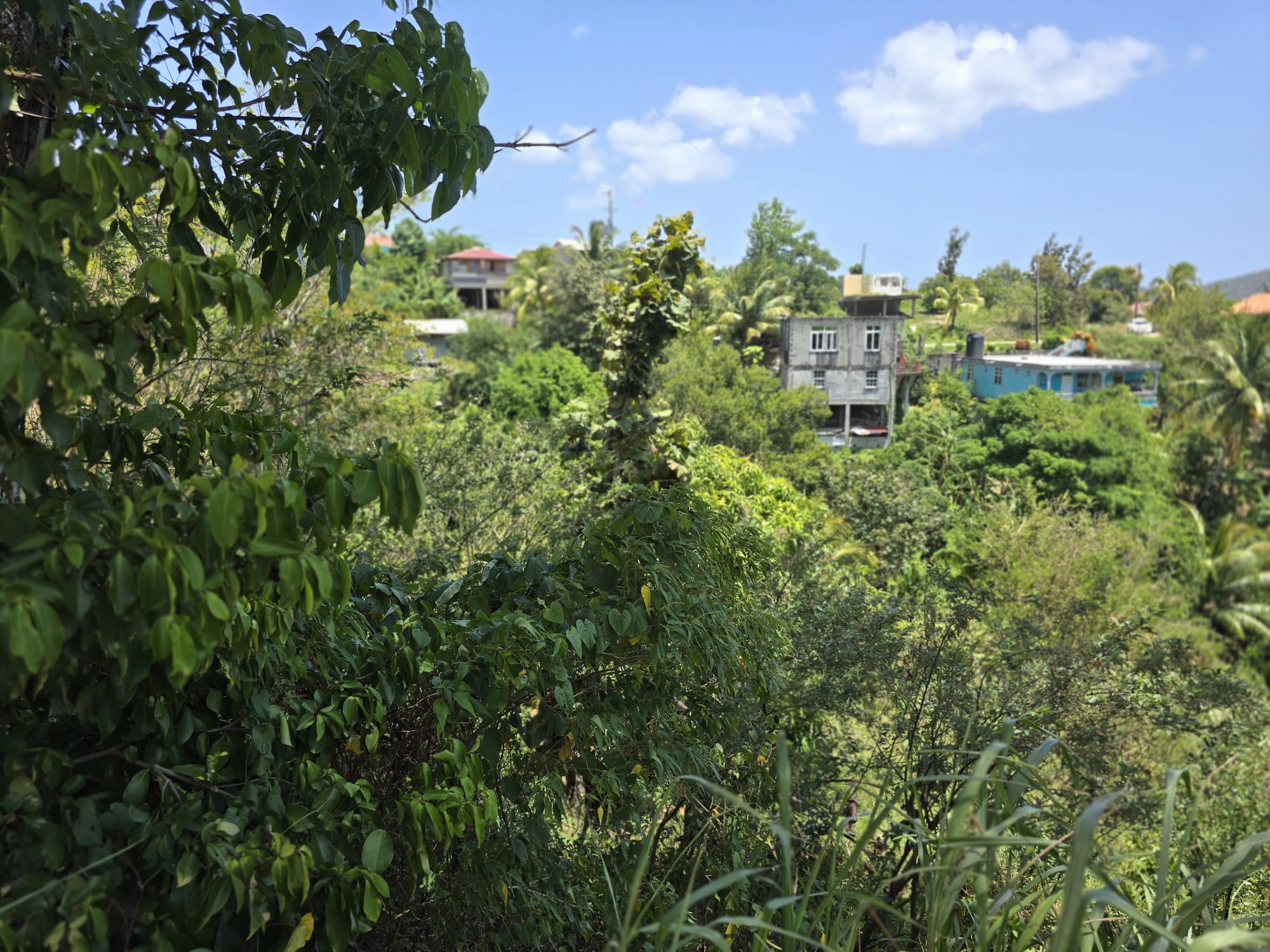 15,000sqft of residential land for sale in Savanne Paille, Dominica – EC$180,000 / US$67,415
