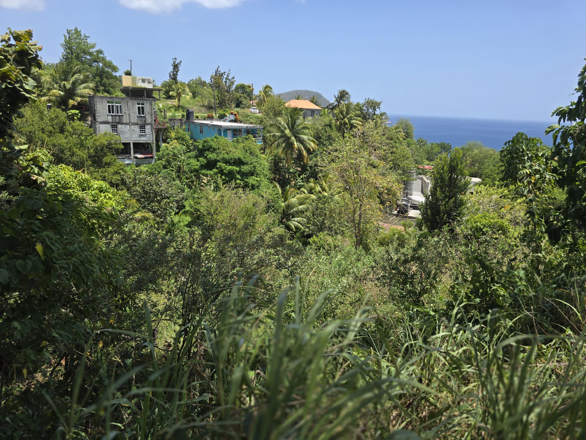 15,000sqft of residential land for sale in Savanne Paille, Dominica – EC$180,000 / US$67,415