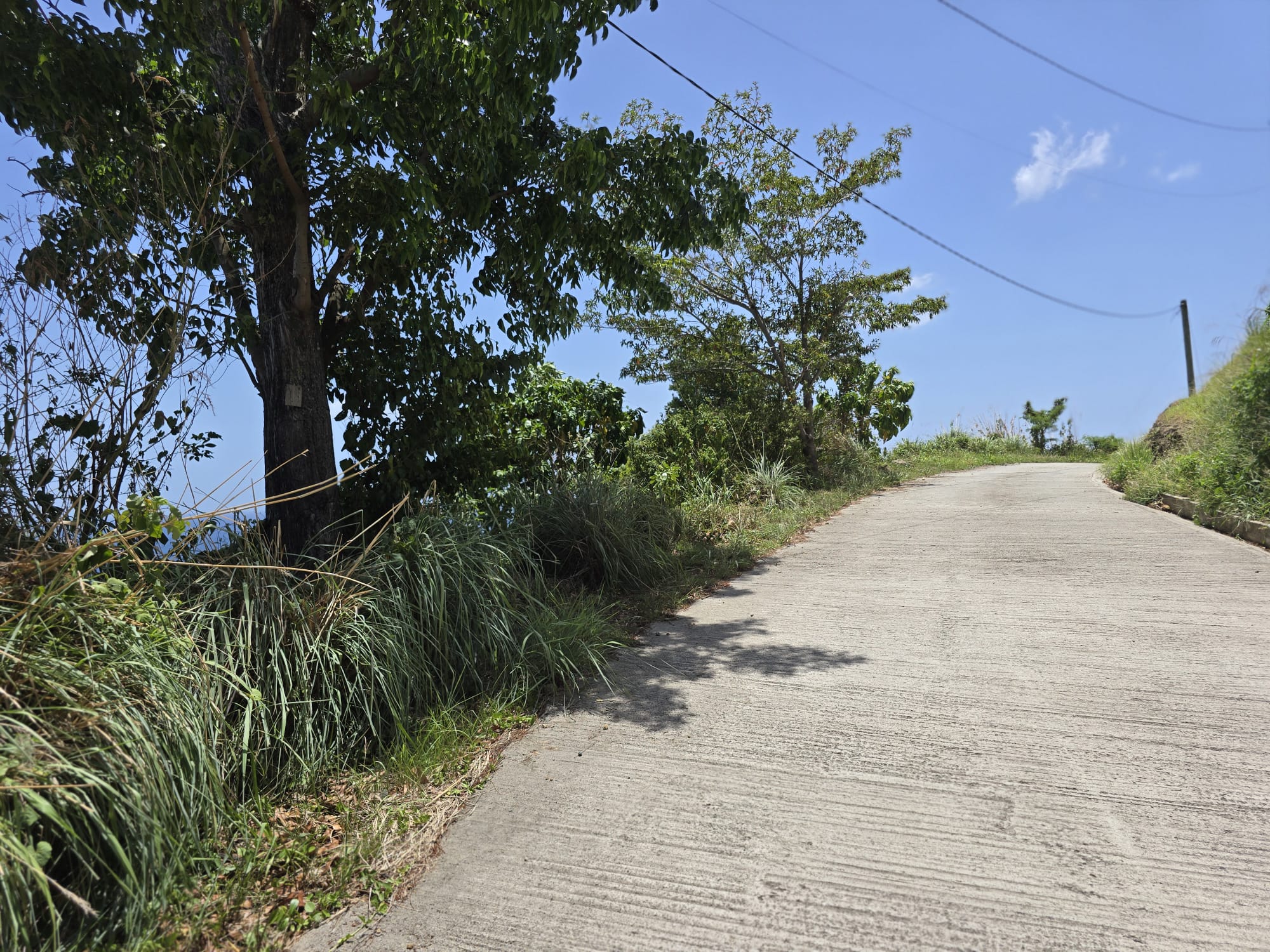 15,000sqft of residential land for sale in Savanne Paille, Dominica – EC$180,000 / US$67,415