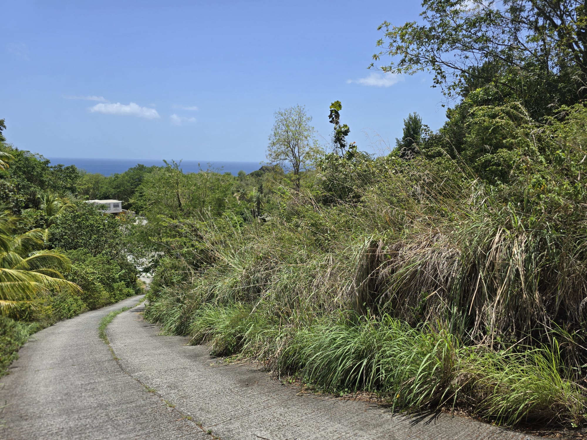 15,000sqft of residential land for sale in Savanne Paille, Dominica – EC$180,000 / US$67,415
