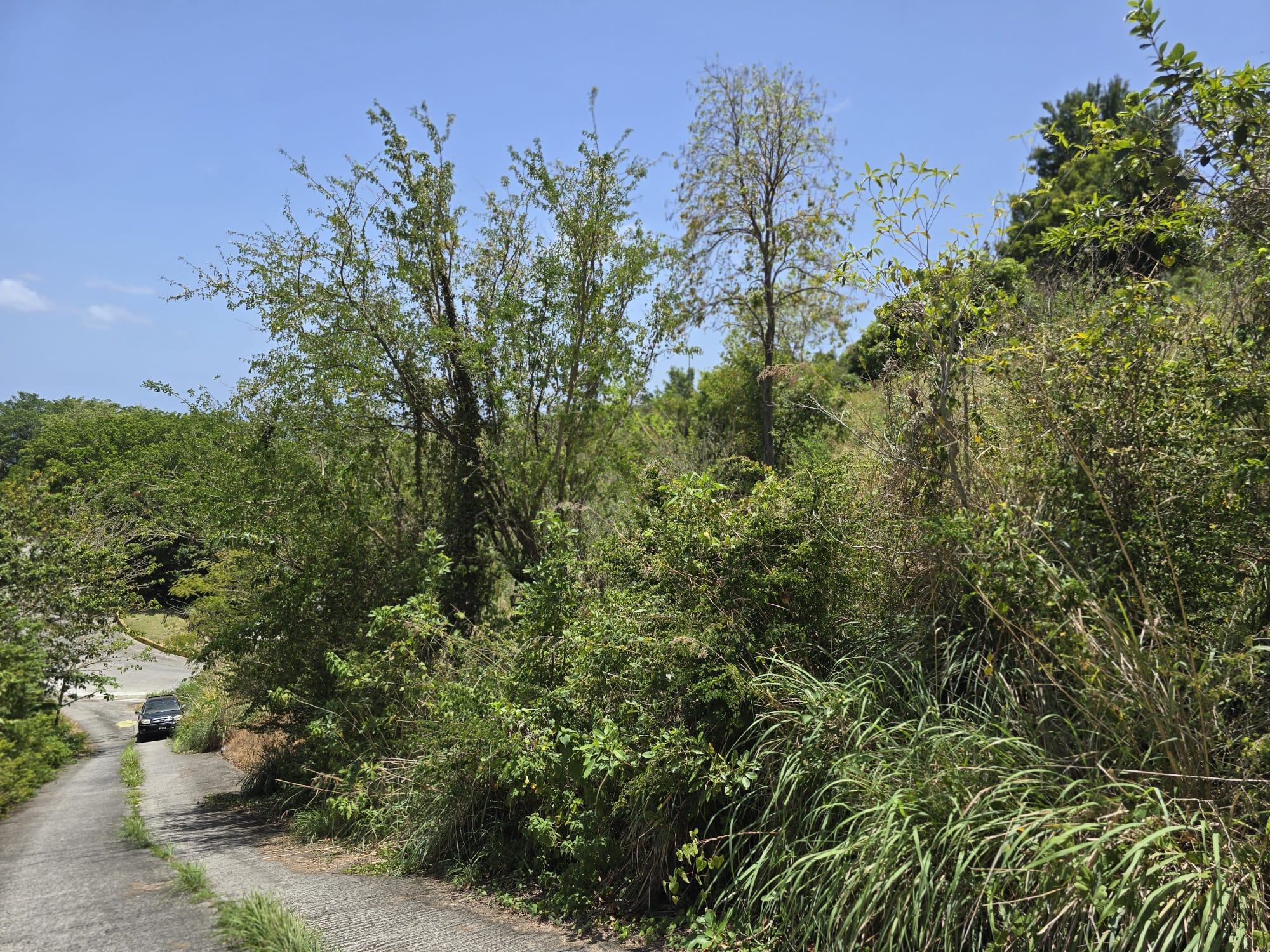 15,000sqft of residential land for sale in Savanne Paille, Dominica – EC$180,000 / US$67,415