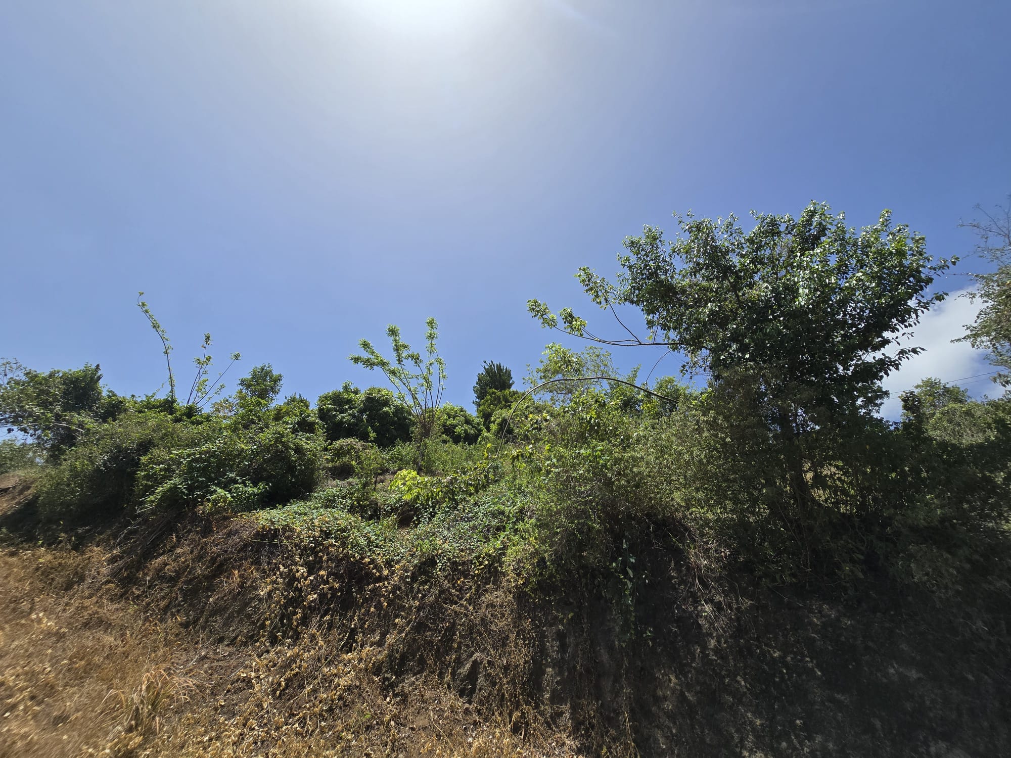 15,000sqft of residential land for sale in Savanne Paille, Dominica – EC$180,000 / US$67,415