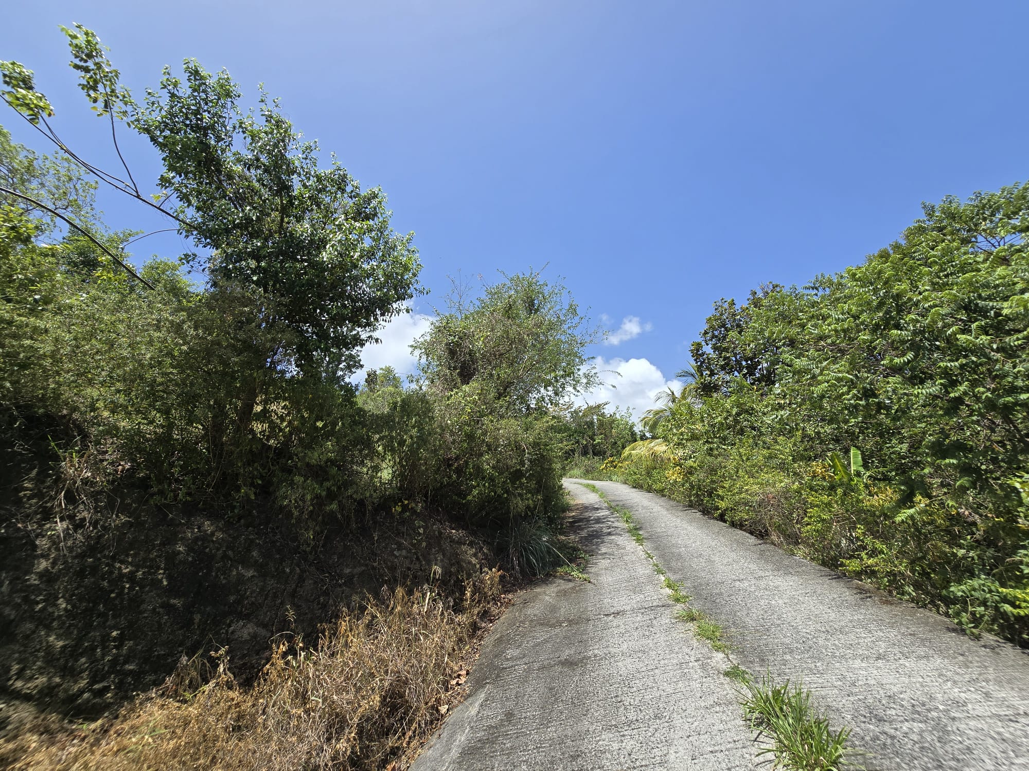 15,000sqft of residential land for sale in Savanne Paille, Dominica – EC$180,000 / US$67,415