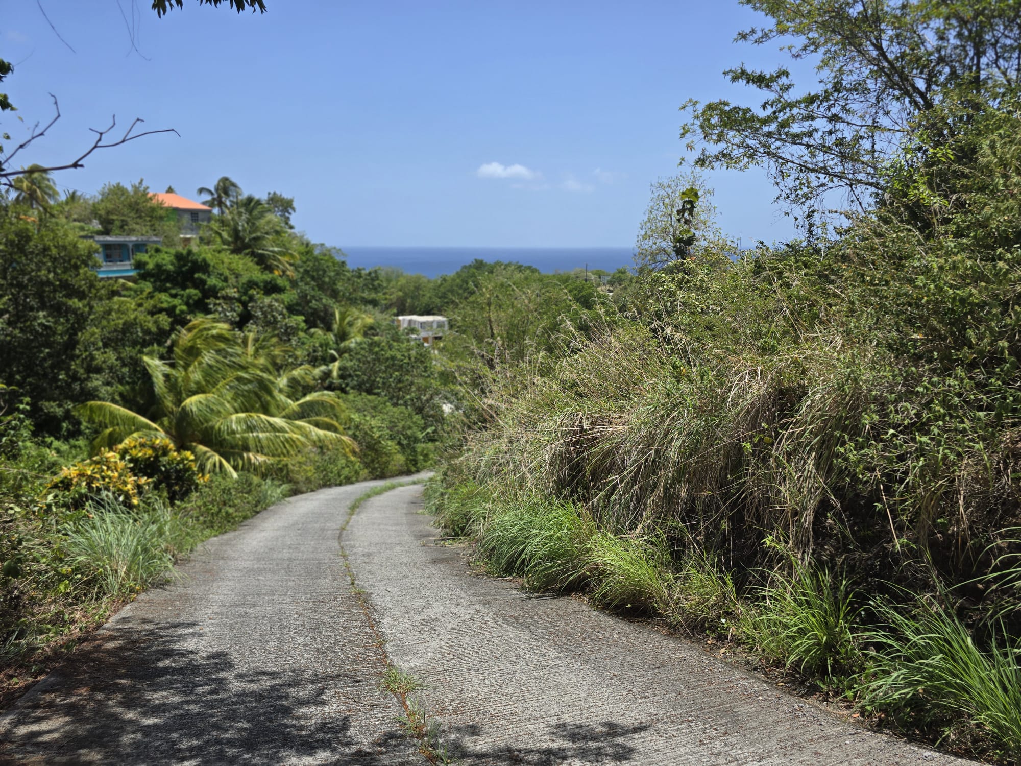 15,000sqft of residential land for sale in Savanne Paille, Dominica – EC$180,000 / US$67,415