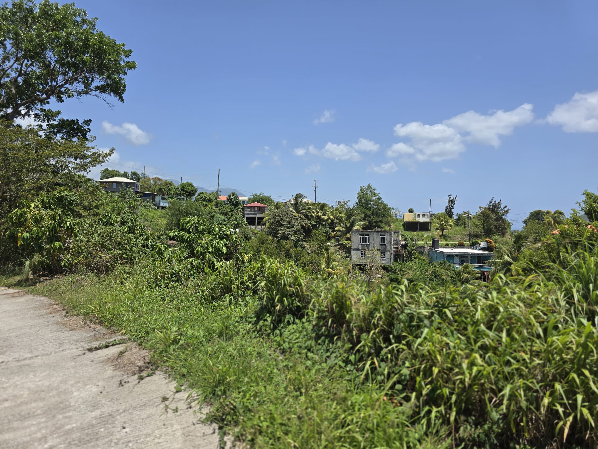 15,000sqft of residential land for sale in Savanne Paille, Dominica – EC$180,000 / US$67,415