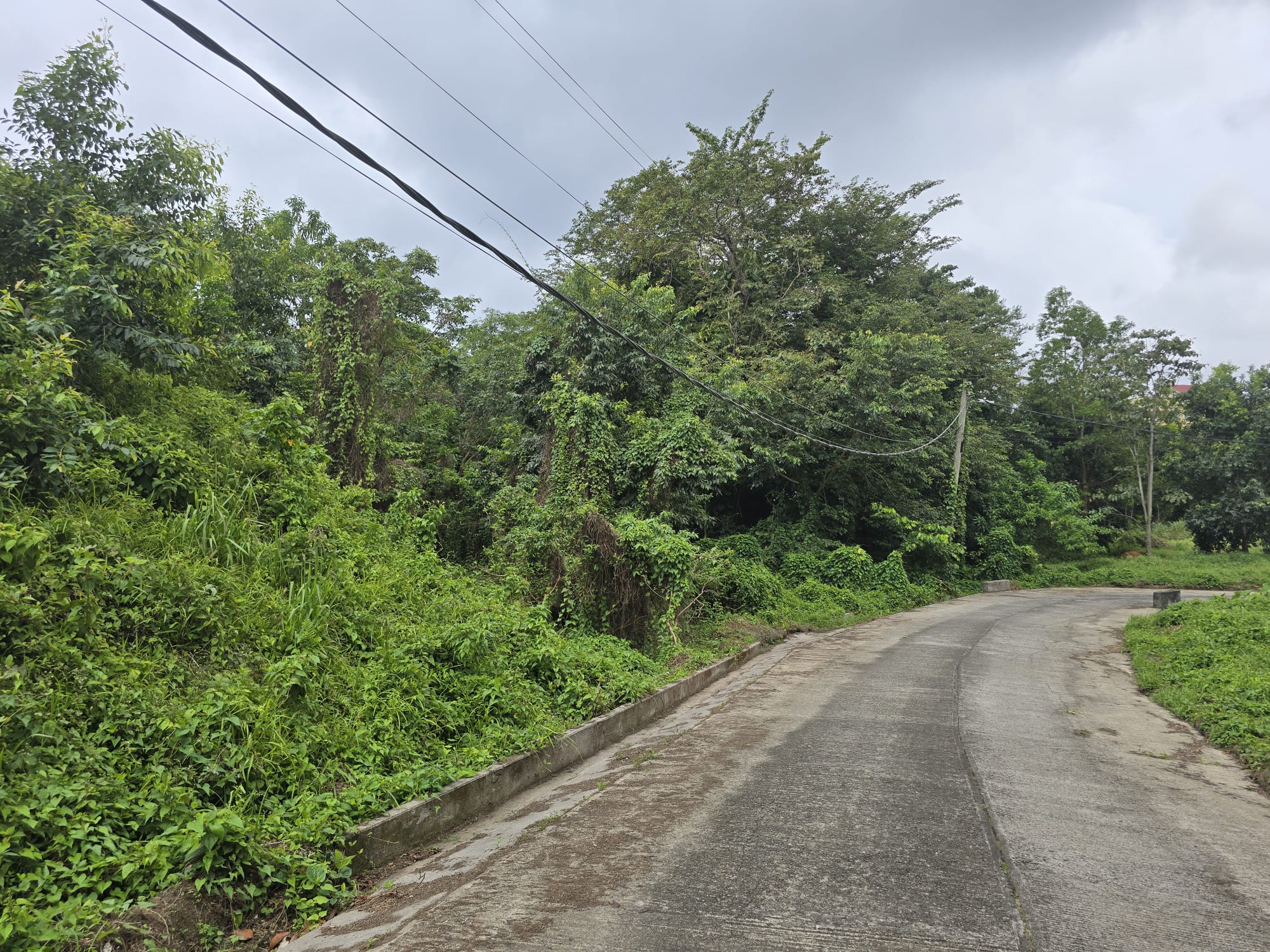 17,551sqft residential lot in Picard, Portsmouth Dominica – EC$438,775 / US$164,335