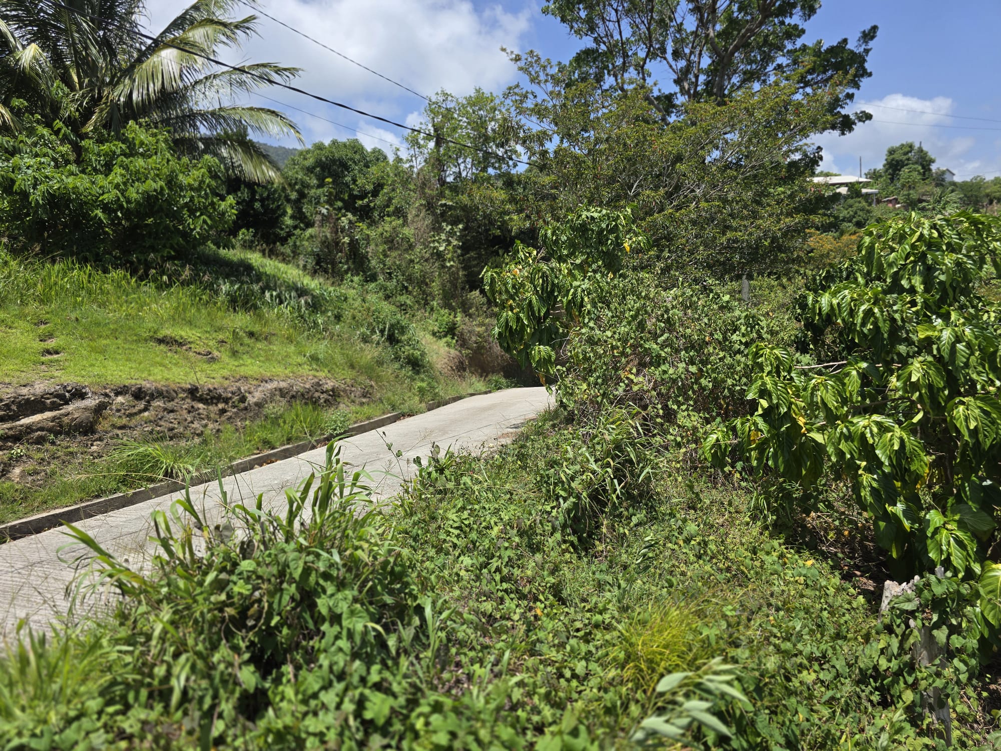15,000sqft of residential land for sale in Savanne Paille, Dominica – EC$180,000 / US$67,415