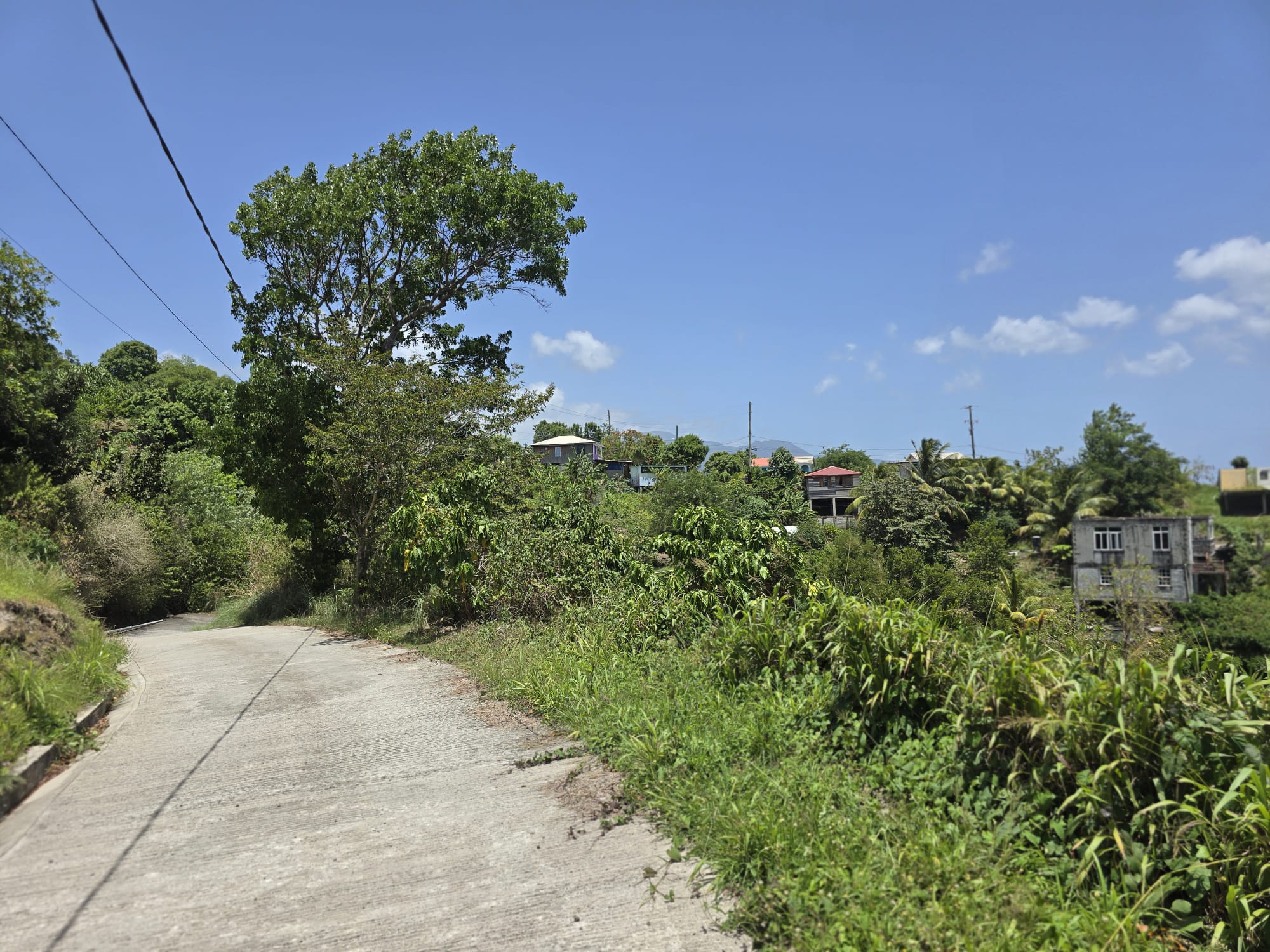 15,000sqft of residential land for sale in Savanne Paille, Dominica – EC$180,000 / US$67,415