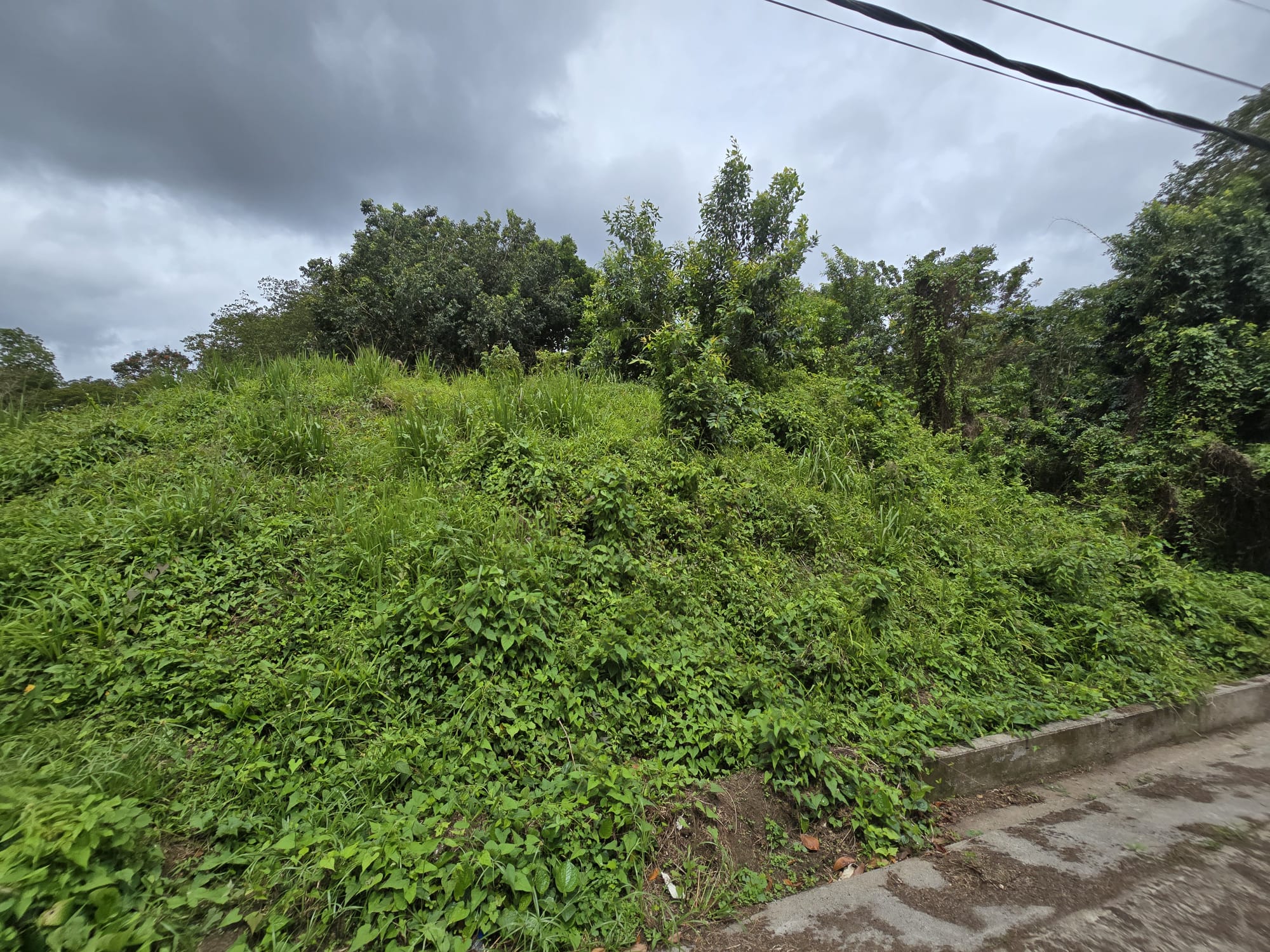 17,551sqft residential lot in Picard, Portsmouth Dominica – EC$438,775 / US$164,335