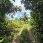 5 acres of agricultural land in Marigot, Dominica – EC$325,000 / US$121,723