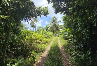 5 acres of agricultural land in Marigot, Dominica – EC$325,000 / US$121,723