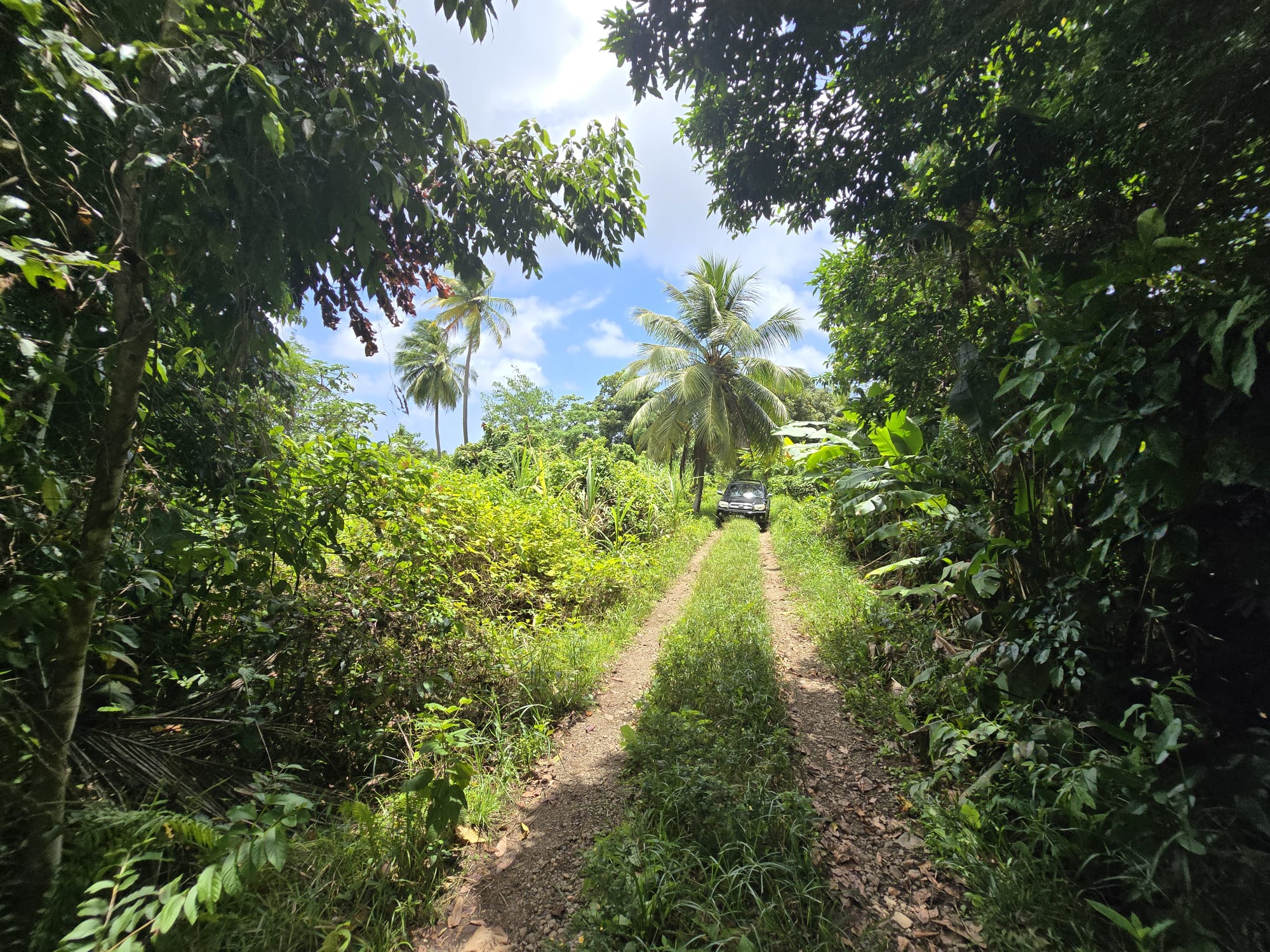 5 acres of agricultural land in Marigot, Dominica – EC$325,000 / US$121,723