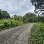 17,551sqft residential lot in Picard, Portsmouth Dominica – EC$438,775 / US$164,335