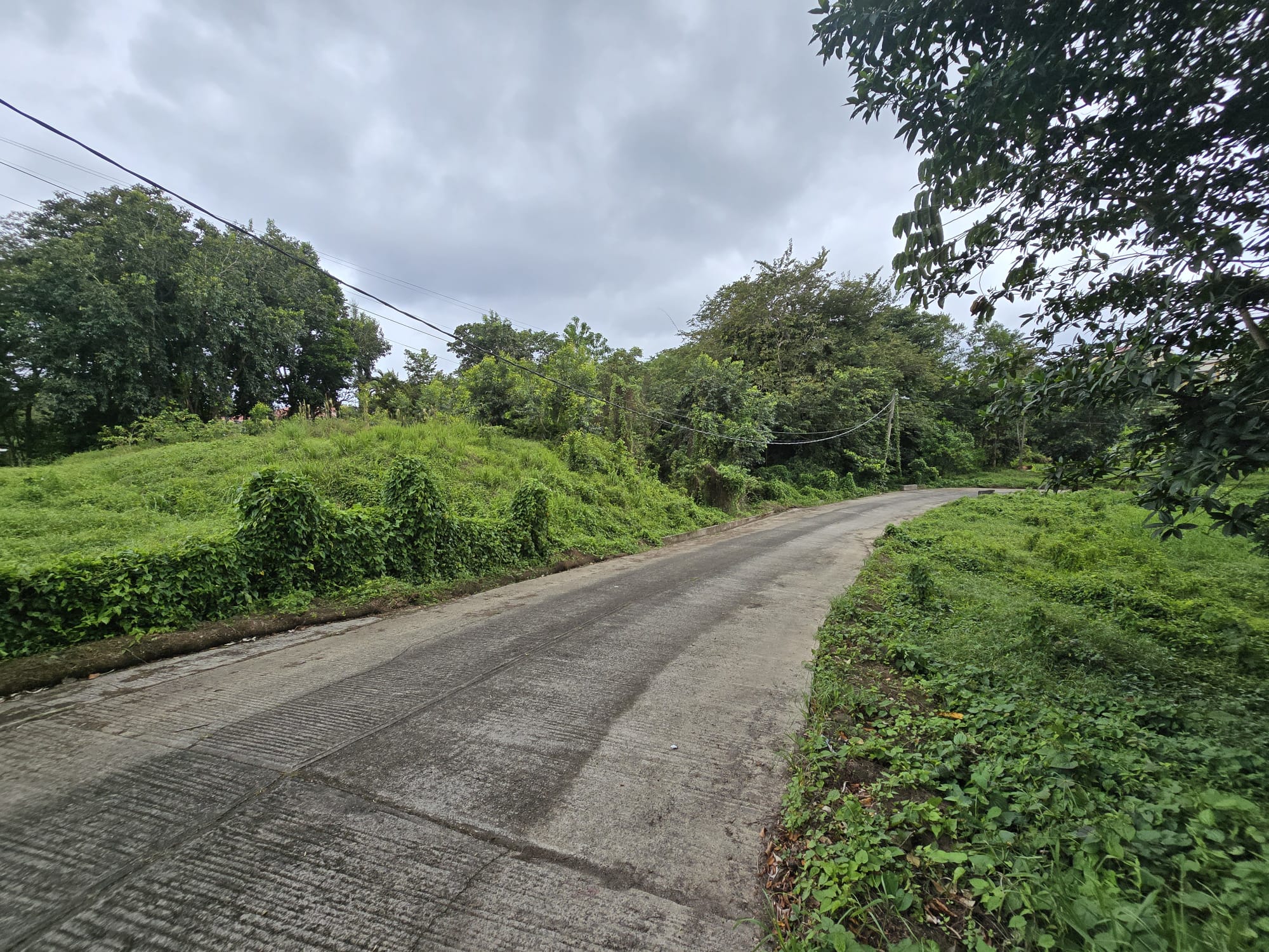 17,551sqft residential lot in Picard, Portsmouth Dominica – EC$438,775 / US$164,335