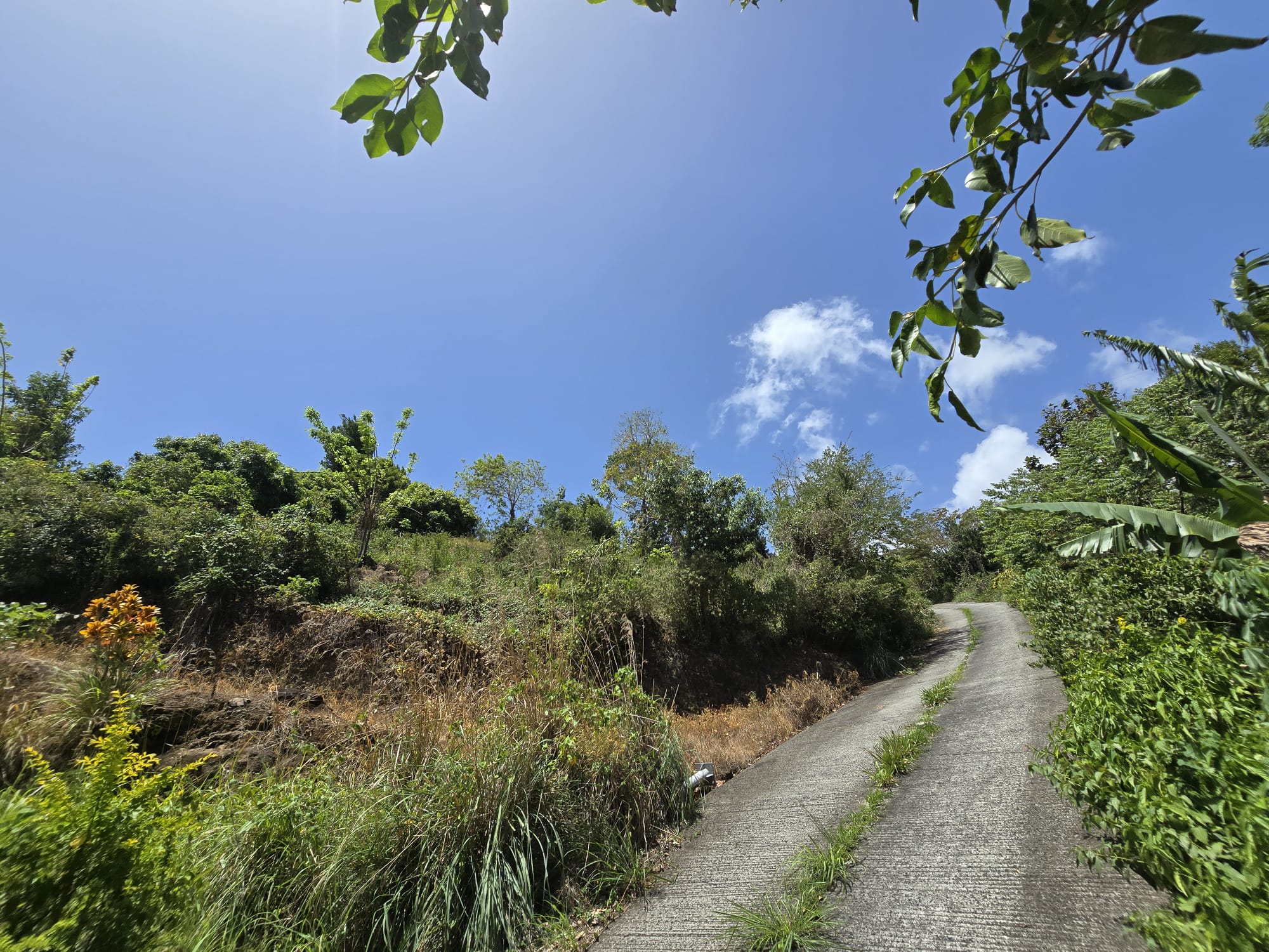 15,000sqft of residential land for sale in Savanne Paille, Dominica – EC$180,000 / US$67,415