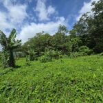 2.9 acres agricultural land in Belles, Dominica – EC$175,000 / US$65,543