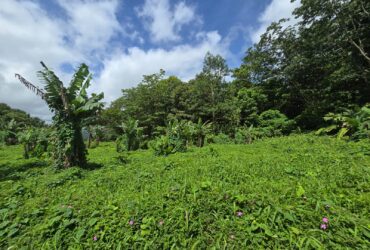 2.9 acres agricultural land in Belles, Dominica – EC$175,000 / US$65,543