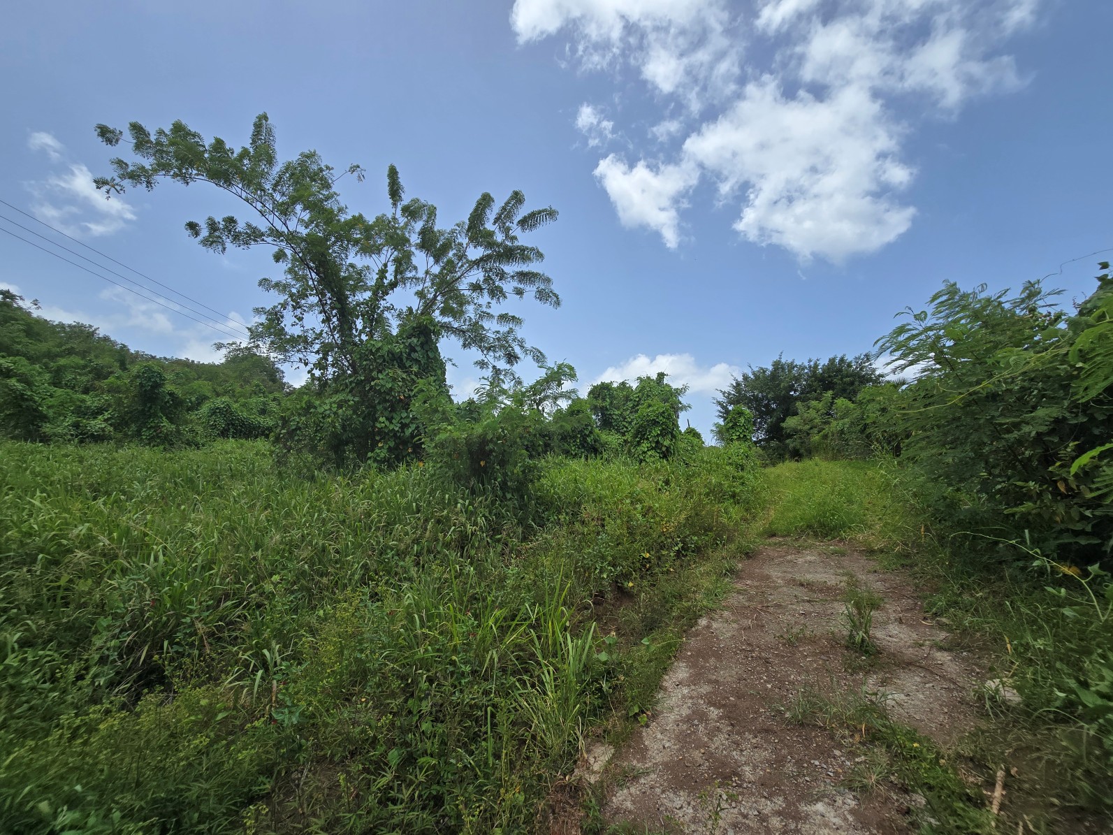 59,683 sqft (1.37 acre) residential lot for sale in Morne Daniel, Dominica – inquire for price