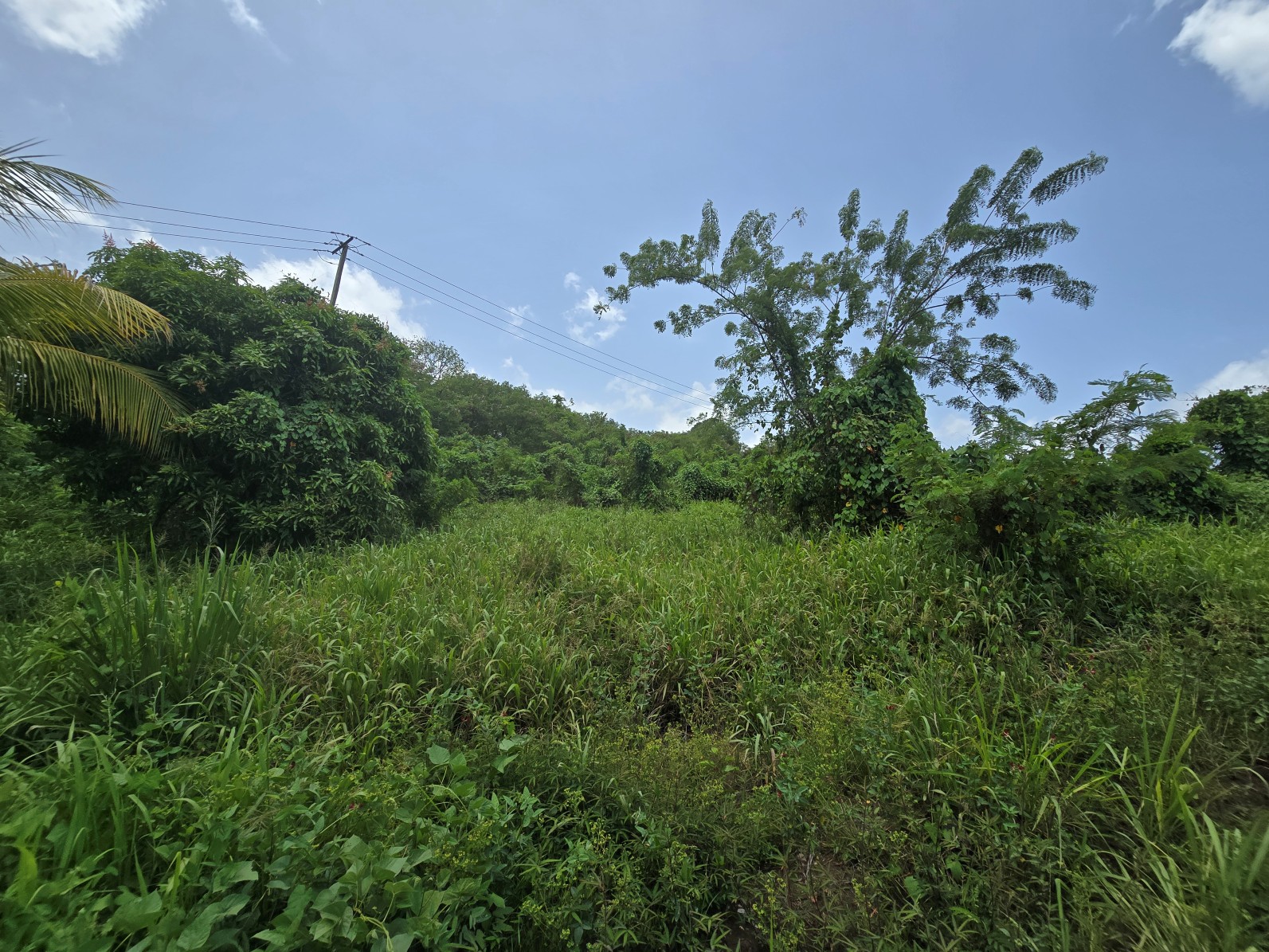 59,683 sqft (1.37 acre) residential lot for sale in Morne Daniel, Dominica – inquire for price
