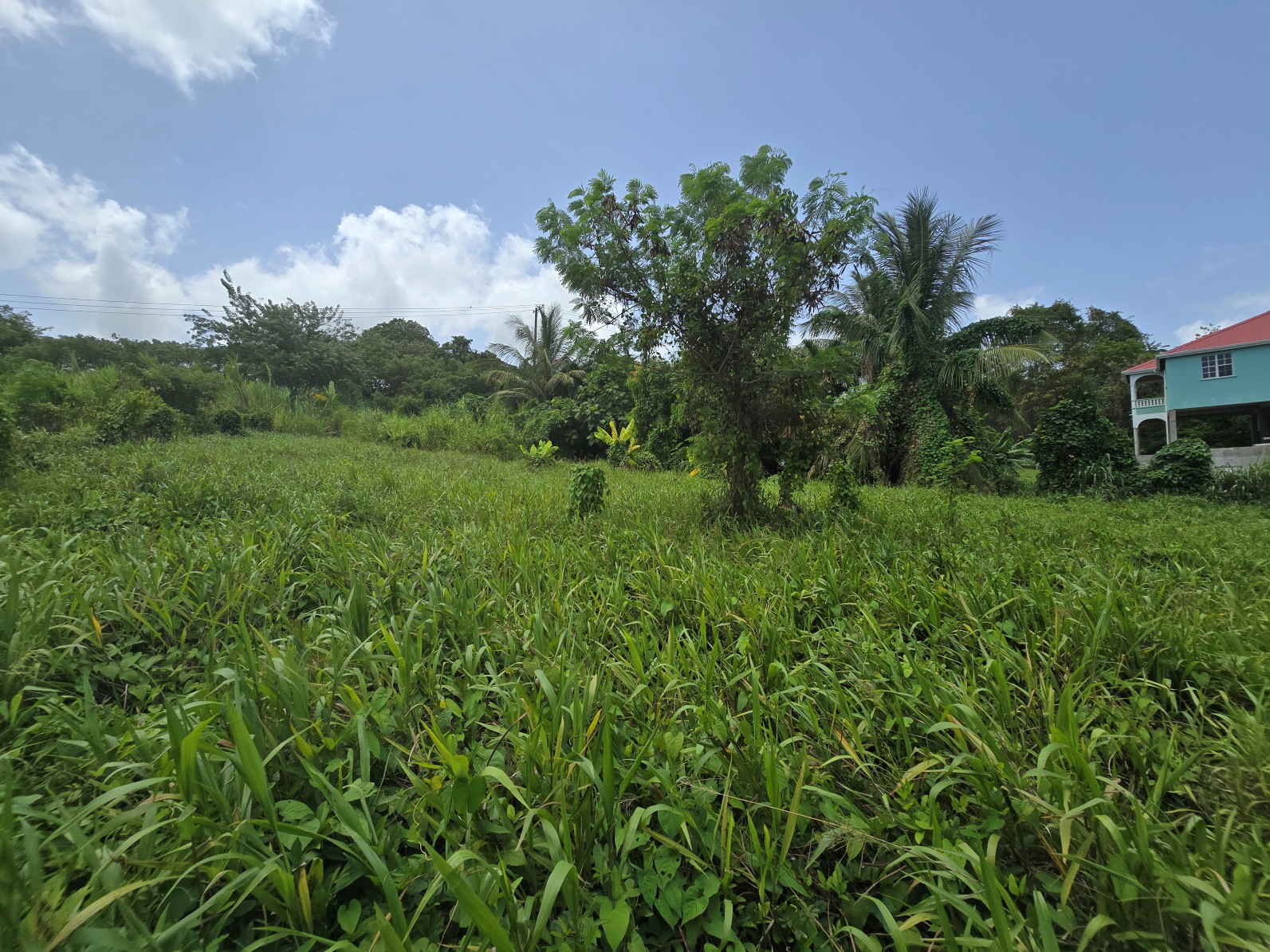 59,683 sqft (1.37 acre) residential lot for sale in Morne Daniel, Dominica – inquire for price